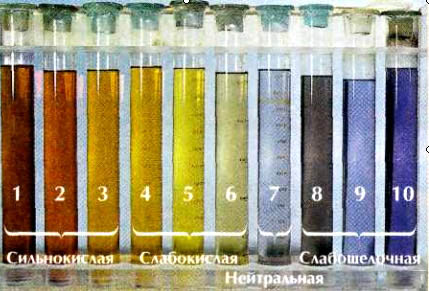 pH-Тест жидкий лакмус, с дозатором фото 4